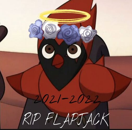 RIP FLAPJACK