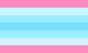 Transmasculine_pride_flag
